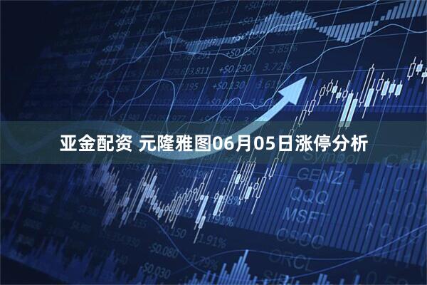 亚金配资 元隆雅图06月05日涨停分析