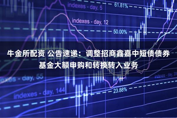 牛金所配资 公告速递：调整招商鑫嘉中短债债券基金大额申购和转换转入业务
