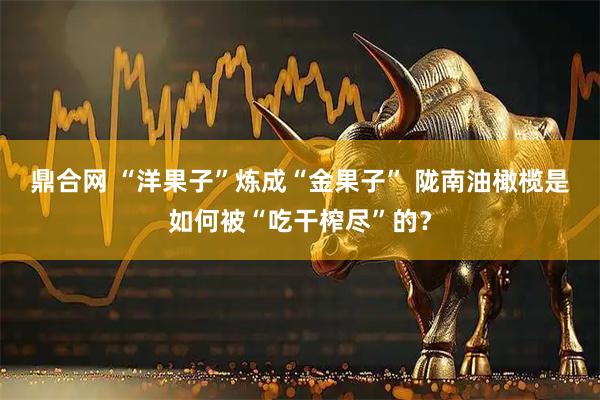 鼎合网 “洋果子”炼成“金果子” 陇南油橄榄是如何被“吃干榨尽”的？
