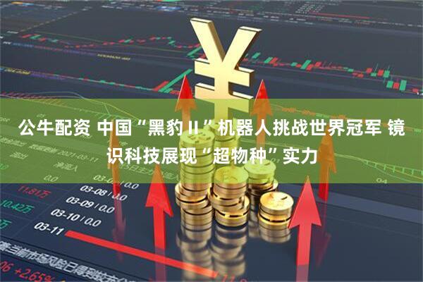 公牛配资 中国“黑豹Ⅱ”机器人挑战世界冠军 镜识科技展现“超物种”实力