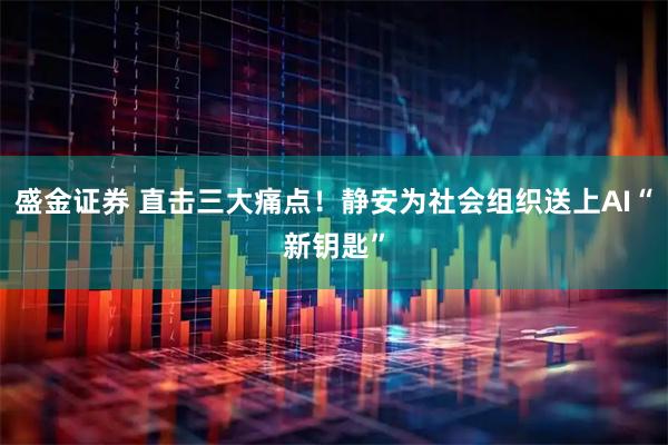 盛金证券 直击三大痛点！静安为社会组织送上AI“新钥匙”