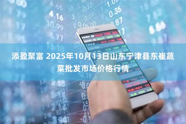 添盈聚富 2025年10月13日山东宁津县东崔蔬菜批发市场价格行情