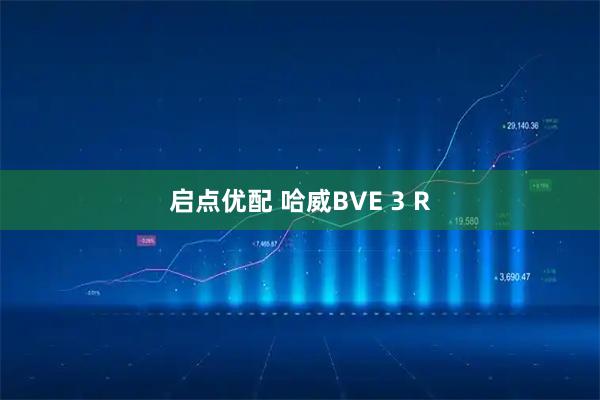 启点优配 哈威BVE 3 R