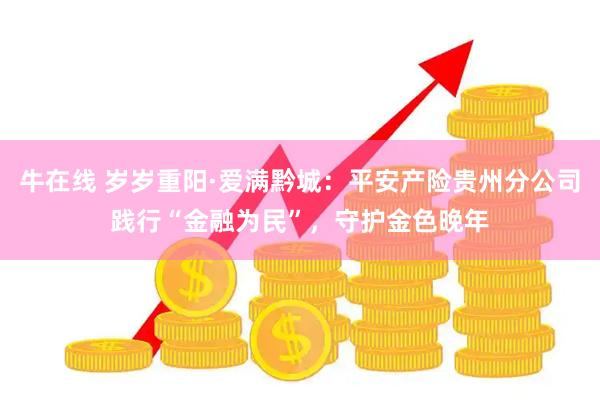 牛在线 岁岁重阳·爱满黔城：平安产险贵州分公司践行“金融为民”，守护金色晚年